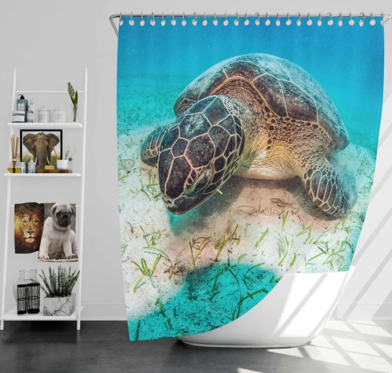 Turtle Underwater Adventure Serene Life Shower Curtain