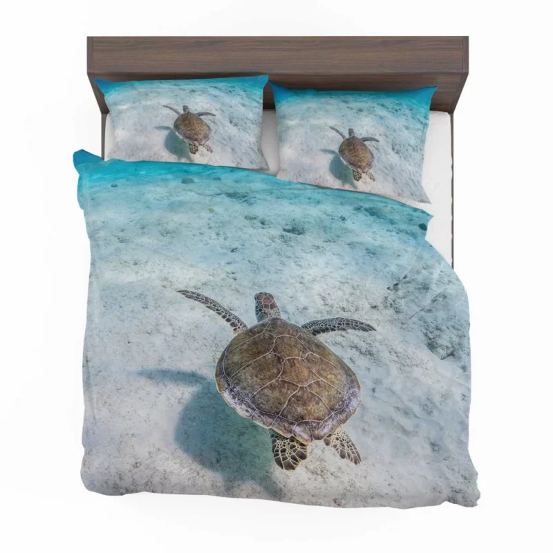 Turtle Underwater Realm Marine Wonder Bedding Set 1