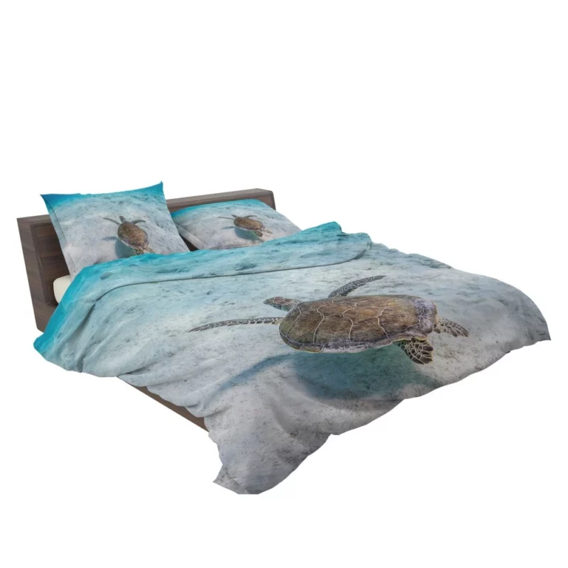 Turtle Underwater Realm Marine Wonder Bedding Set 2