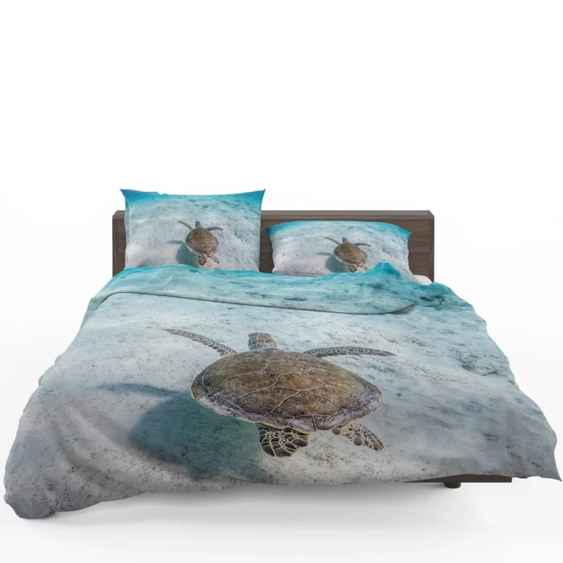 Turtle Underwater Realm Marine Wonder Bedding Set