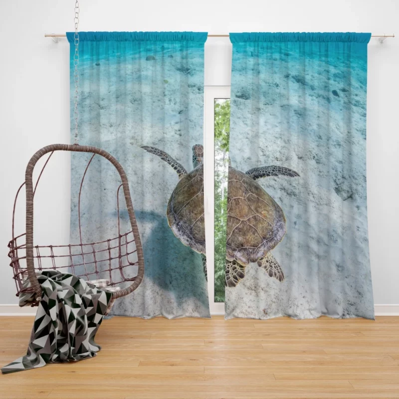 Turtle Underwater Realm Marine Wonder Curtain