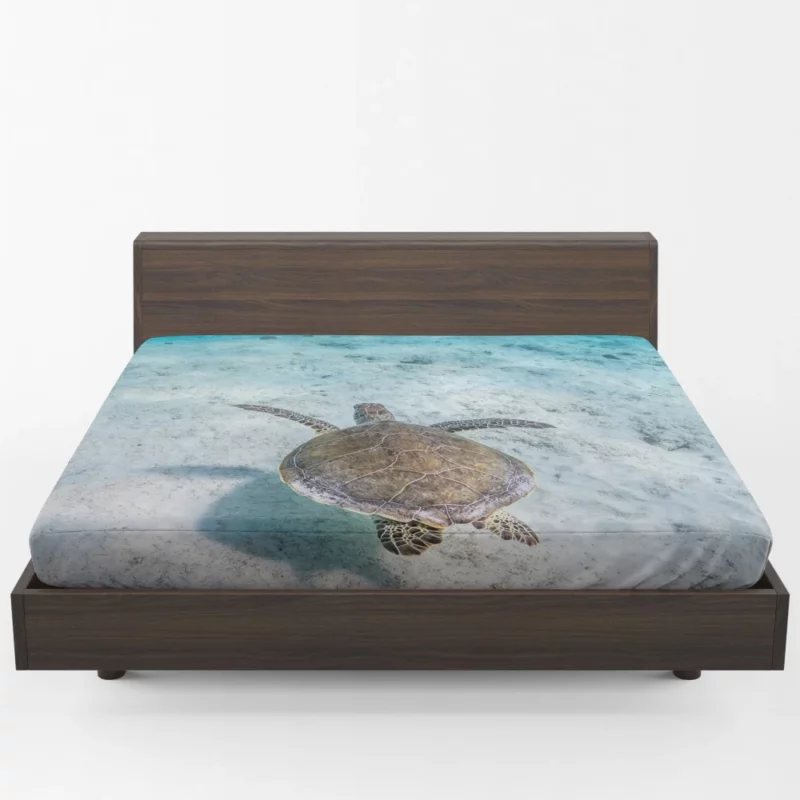 Turtle Underwater Realm Marine Wonder Fitted Sheet