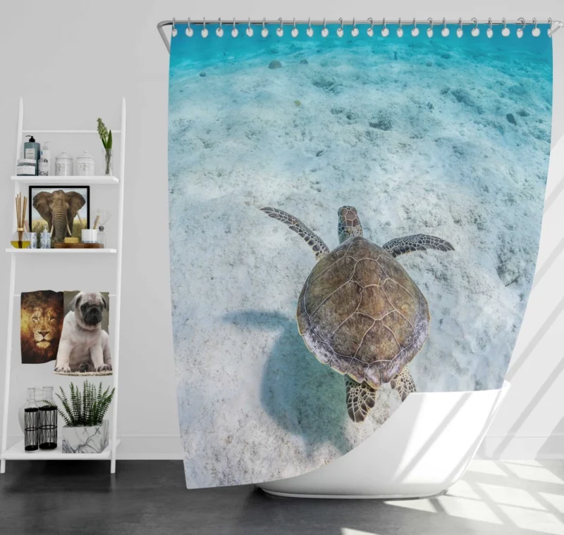 Turtle Underwater Realm Marine Wonder Shower Curtain