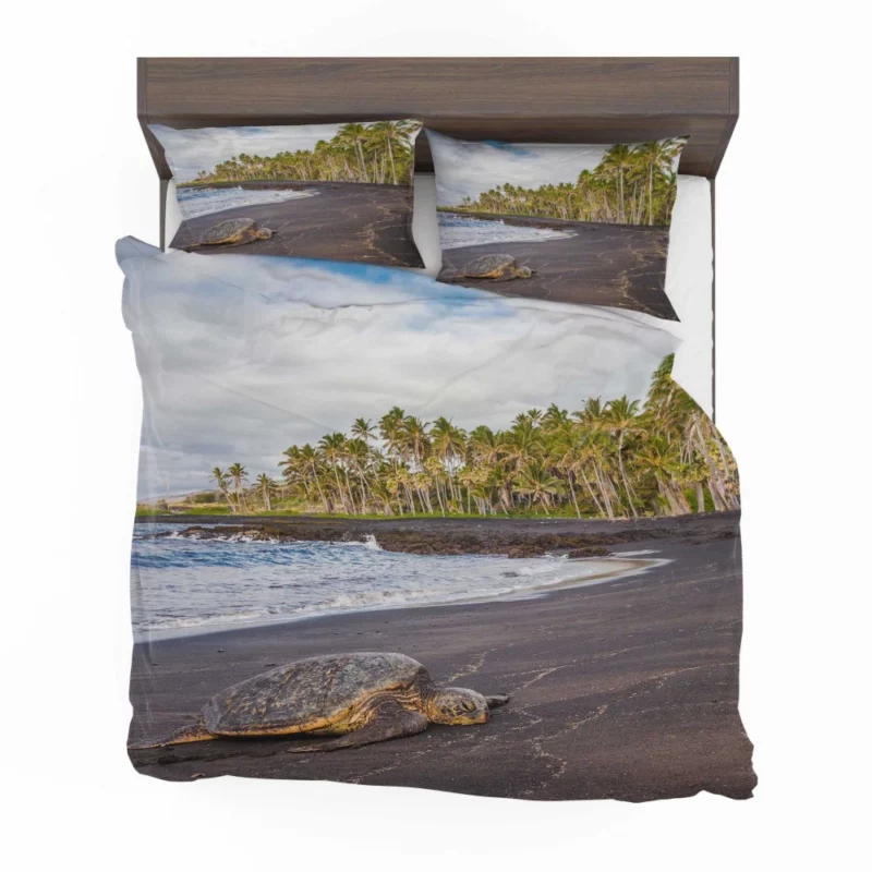 Turtle on Sandy Beach Coastal Beauty Bedding Set 1