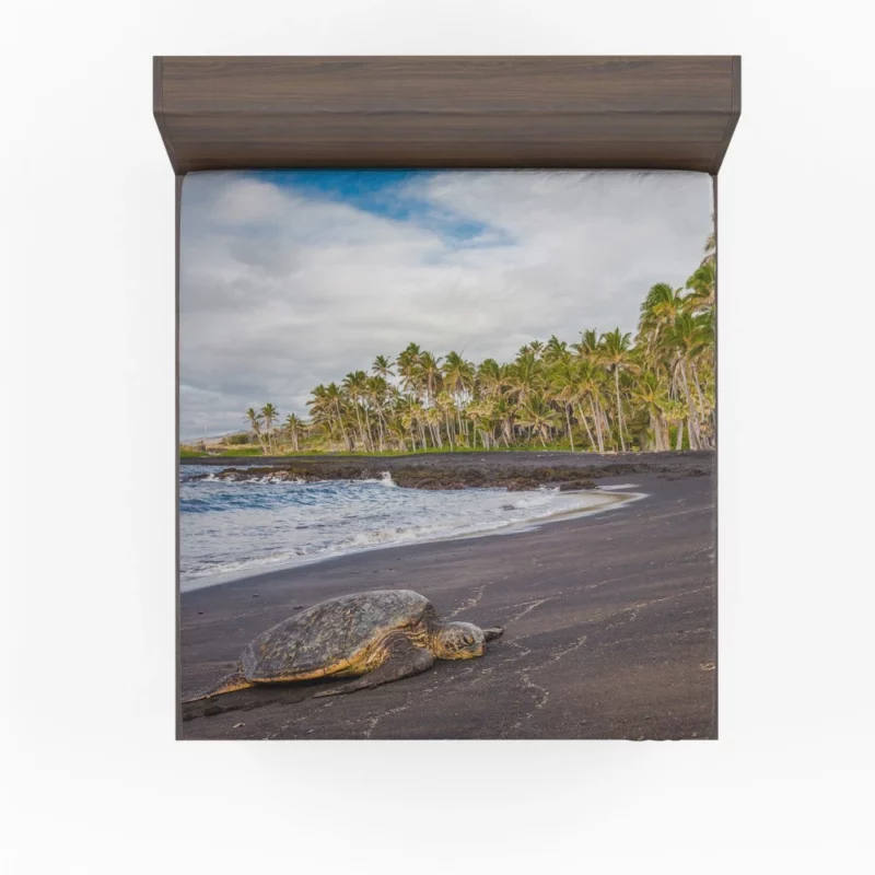 Turtle on Sandy Beach Coastal Beauty Fitted Sheet 1