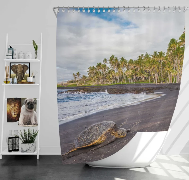 Turtle on Sandy Beach Coastal Beauty Shower Curtain