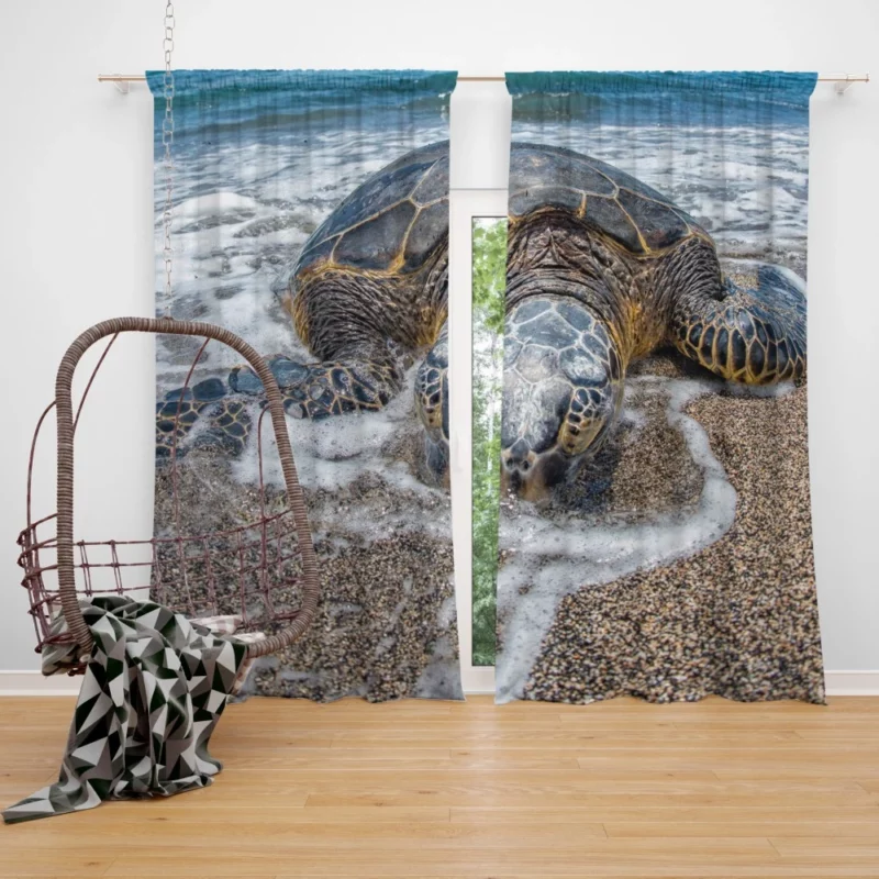 Turtle on the Beach Aquatic Delight Curtain