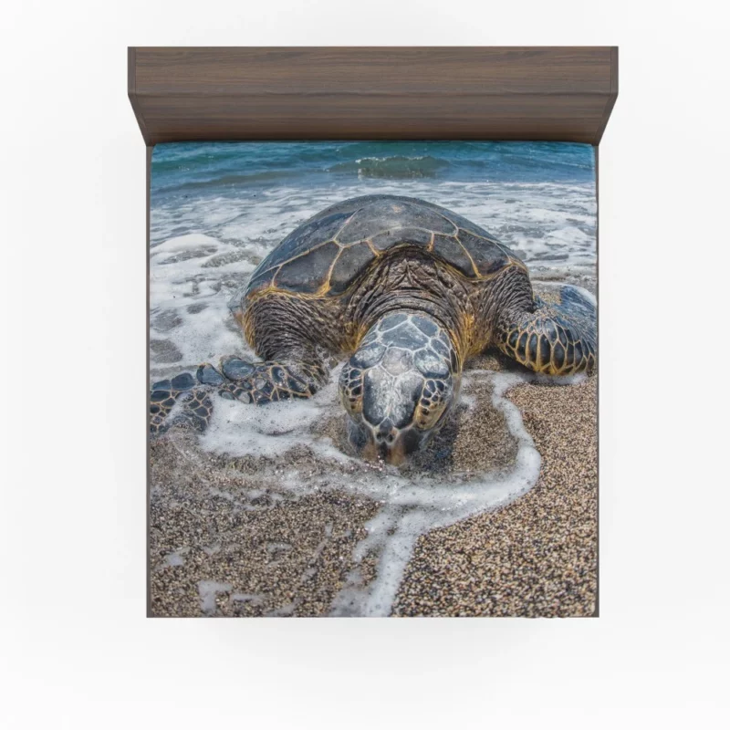 Turtle on the Beach Aquatic Delight Fitted Sheet 1