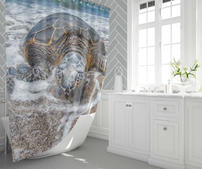 Turtle on the Beach Aquatic Delight Shower Curtain 1