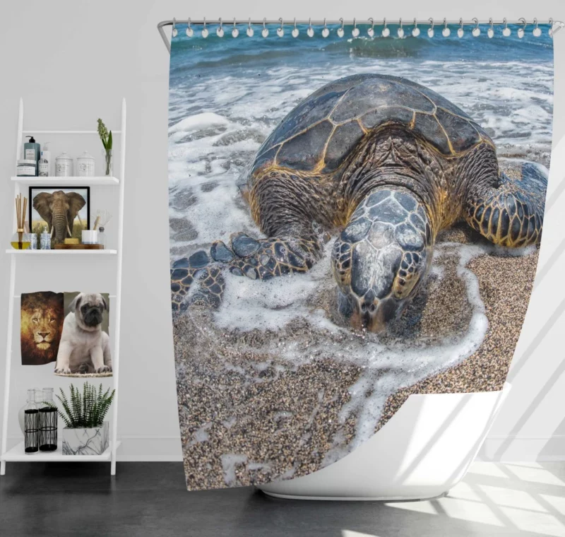 Turtle on the Beach Aquatic Delight Shower Curtain