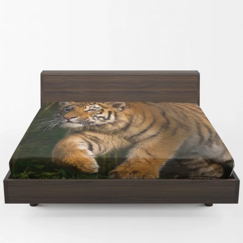 Untamed Beauty Majestic Tiger Fitted Sheet