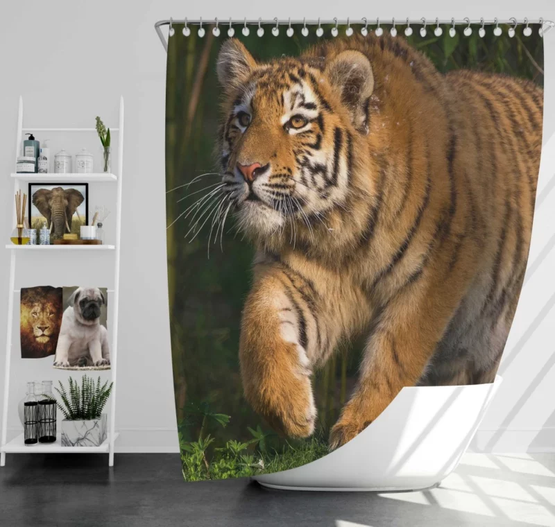 Untamed Beauty Majestic Tiger Shower Curtain