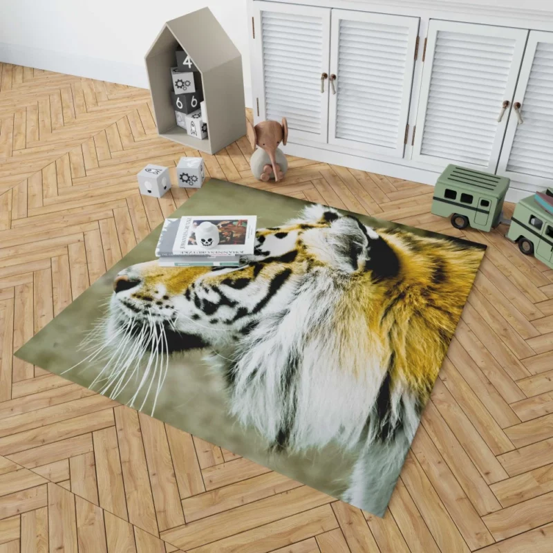 Untamed Gaze Tiger Fierce Stare Rug 1