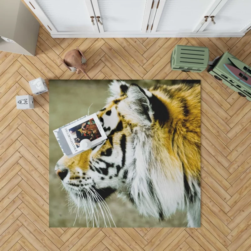 Untamed Gaze Tiger Fierce Stare Rug