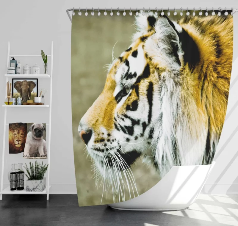 Untamed Gaze Tiger Fierce Stare Shower Curtain