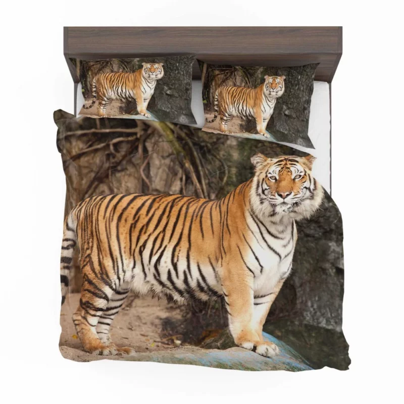 Untamed Vision Tiger Intense Stare Bedding Set 1