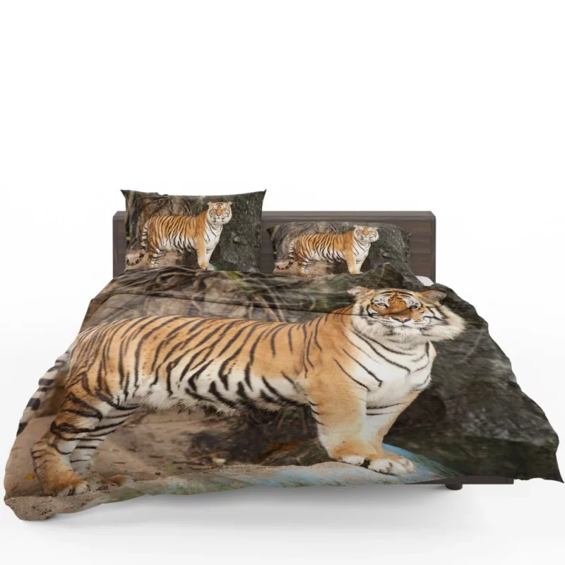 Untamed Vision Tiger Intense Stare Bedding Set