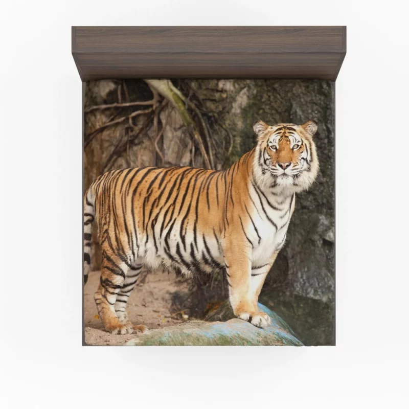 Untamed Vision Tiger Intense Stare Fitted Sheet 1