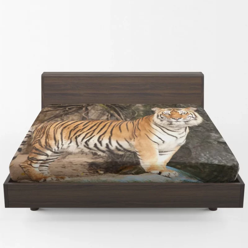 Untamed Vision Tiger Intense Stare Fitted Sheet