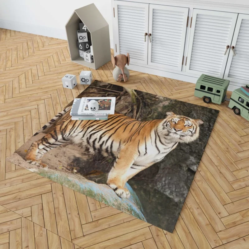 Untamed Vision Tiger Intense Stare Rug 1