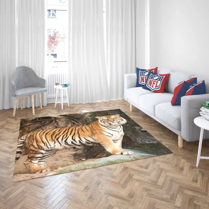 Untamed Vision Tiger Intense Stare Rug 2