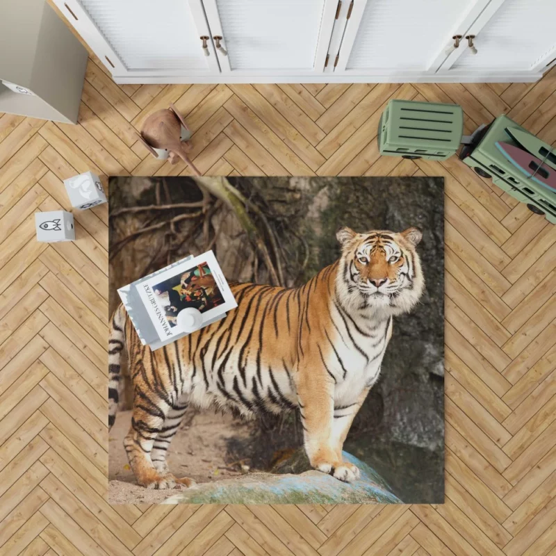 Untamed Vision Tiger Intense Stare Rug