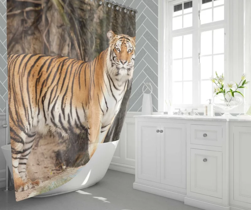 Untamed Vision Tiger Intense Stare Shower Curtain 1