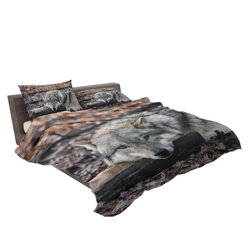 Untamed Wolf Piercing Stare Wilderness Majesty Bedding Set 2