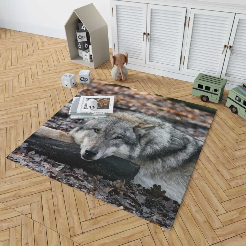 Untamed Wolf Piercing Stare Wilderness Majesty Rug 1