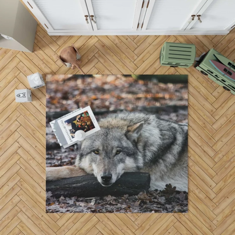 Untamed Wolf Piercing Stare Wilderness Majesty Rug