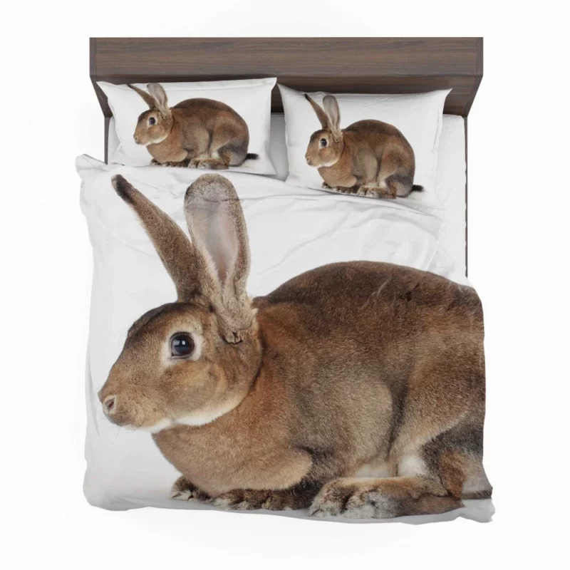 Unveiled Nature Rabbit Curious Spirit Bedding Set 1