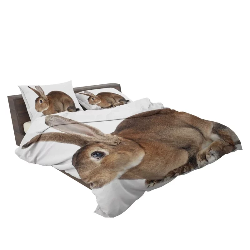 Unveiled Nature Rabbit Curious Spirit Bedding Set 2