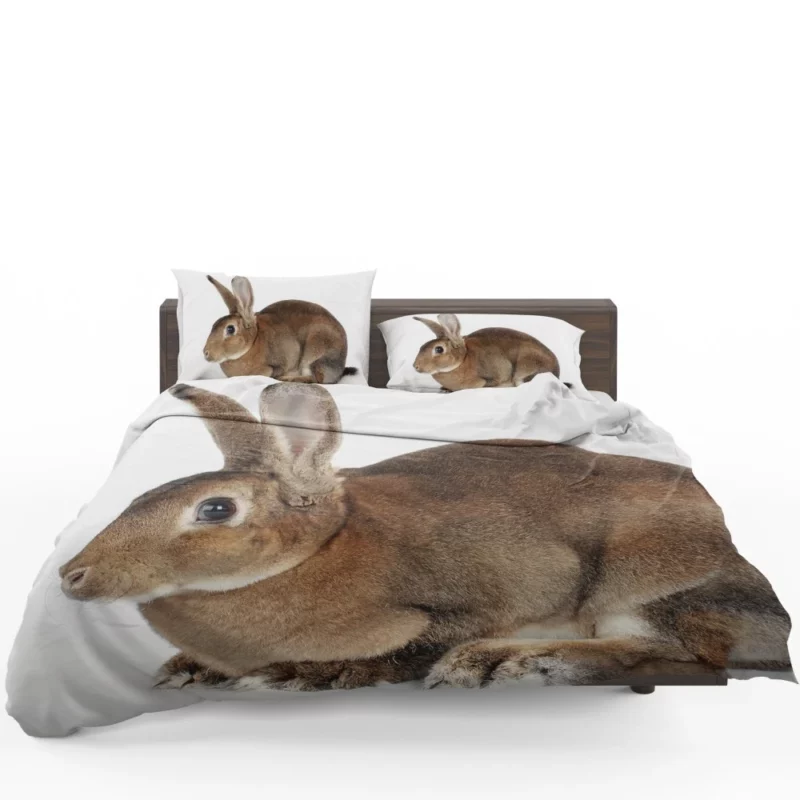 Unveiled Nature Rabbit Curious Spirit Bedding Set