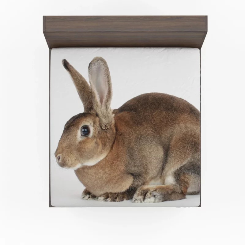 Unveiled Nature Rabbit Curious Spirit Fitted Sheet 1