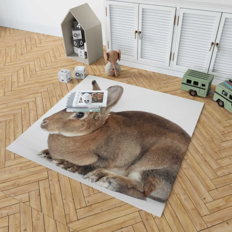 Unveiled Nature Rabbit Curious Spirit Rug 1