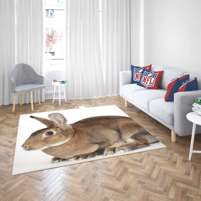 Unveiled Nature Rabbit Curious Spirit Rug 2