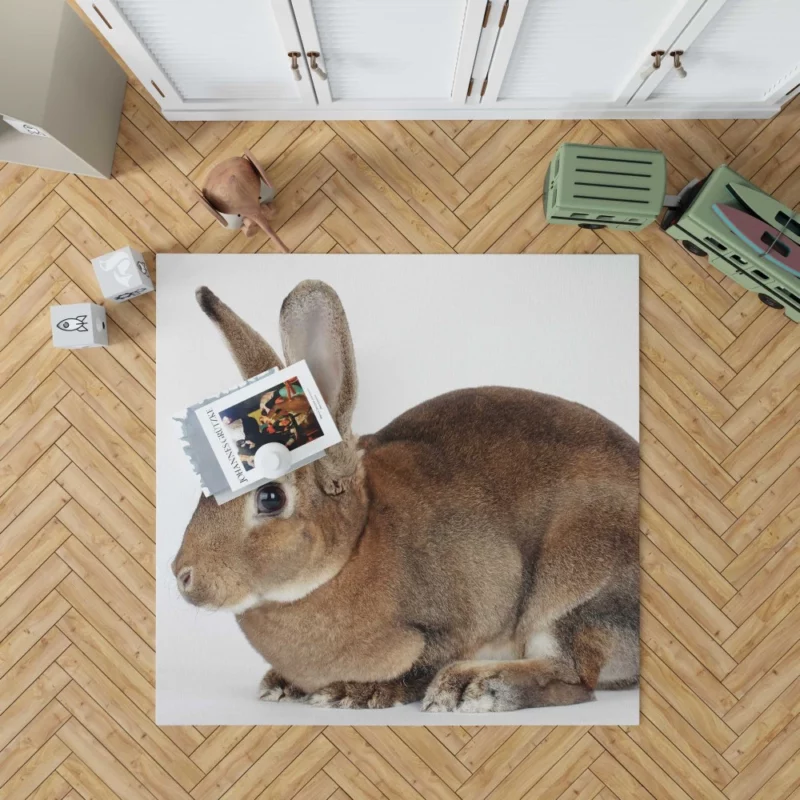 Unveiled Nature Rabbit Curious Spirit Rug