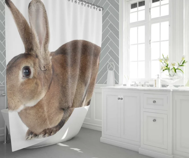 Unveiled Nature Rabbit Curious Spirit Shower Curtain 1