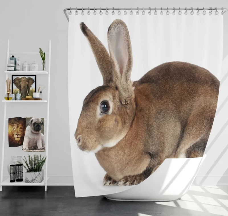 Unveiled Nature Rabbit Curious Spirit Shower Curtain