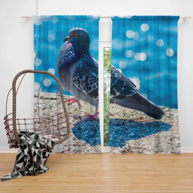 Urban Elegance Pigeon City Dwelling Curtain