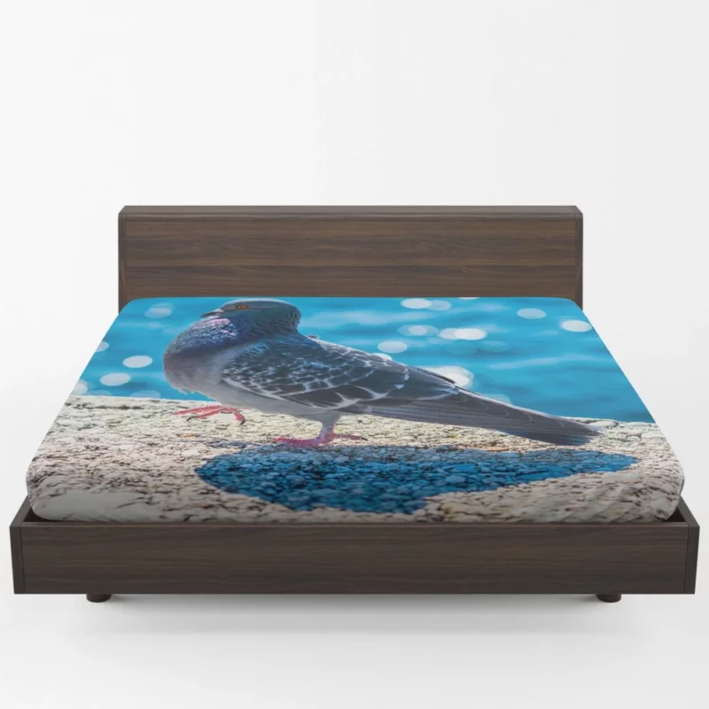 Urban Elegance Pigeon City Dwelling Fitted Sheet