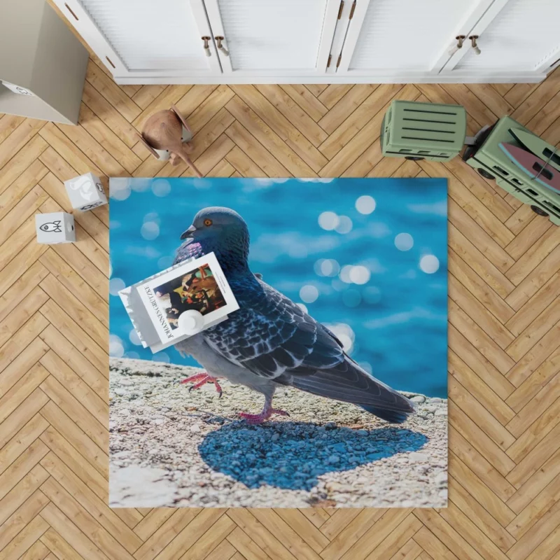 Urban Elegance Pigeon City Dwelling Rug