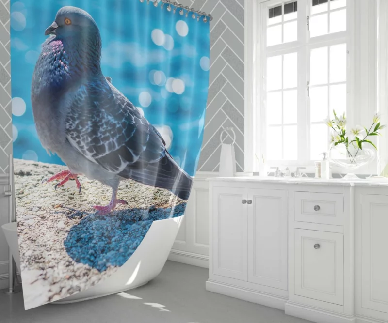 Urban Elegance Pigeon City Dwelling Shower Curtain 1