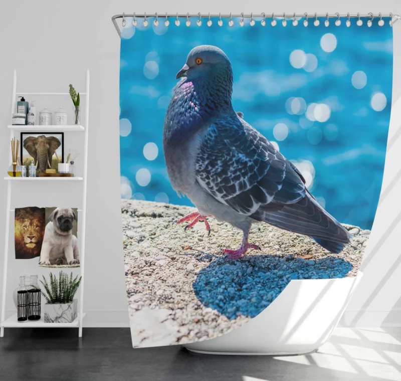 Urban Elegance Pigeon City Dwelling Shower Curtain