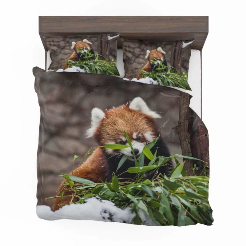 Urban Red Panda Chicago Zoo Wonders Bedding Set 1