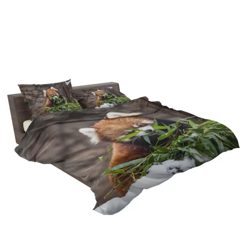 Urban Red Panda Chicago Zoo Wonders Bedding Set 2