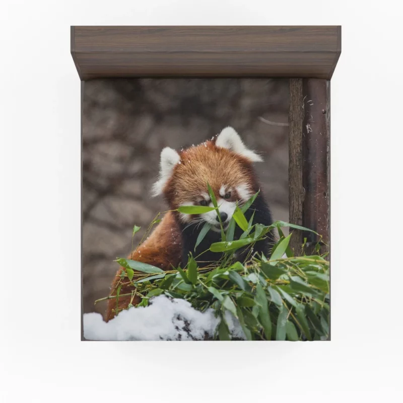 Urban Red Panda Chicago Zoo Wonders Fitted Sheet 1