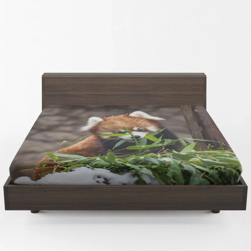 Urban Red Panda Chicago Zoo Wonders Fitted Sheet