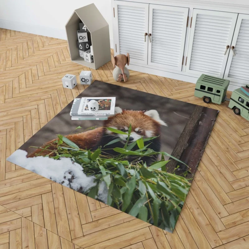 Urban Red Panda Chicago Zoo Wonders Rug 1