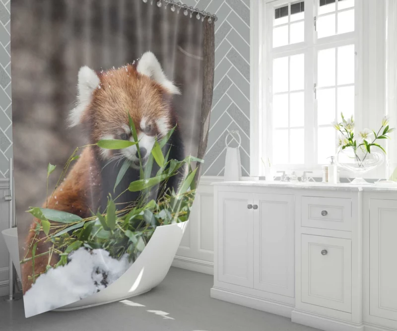 Urban Red Panda Chicago Zoo Wonders Shower Curtain 1